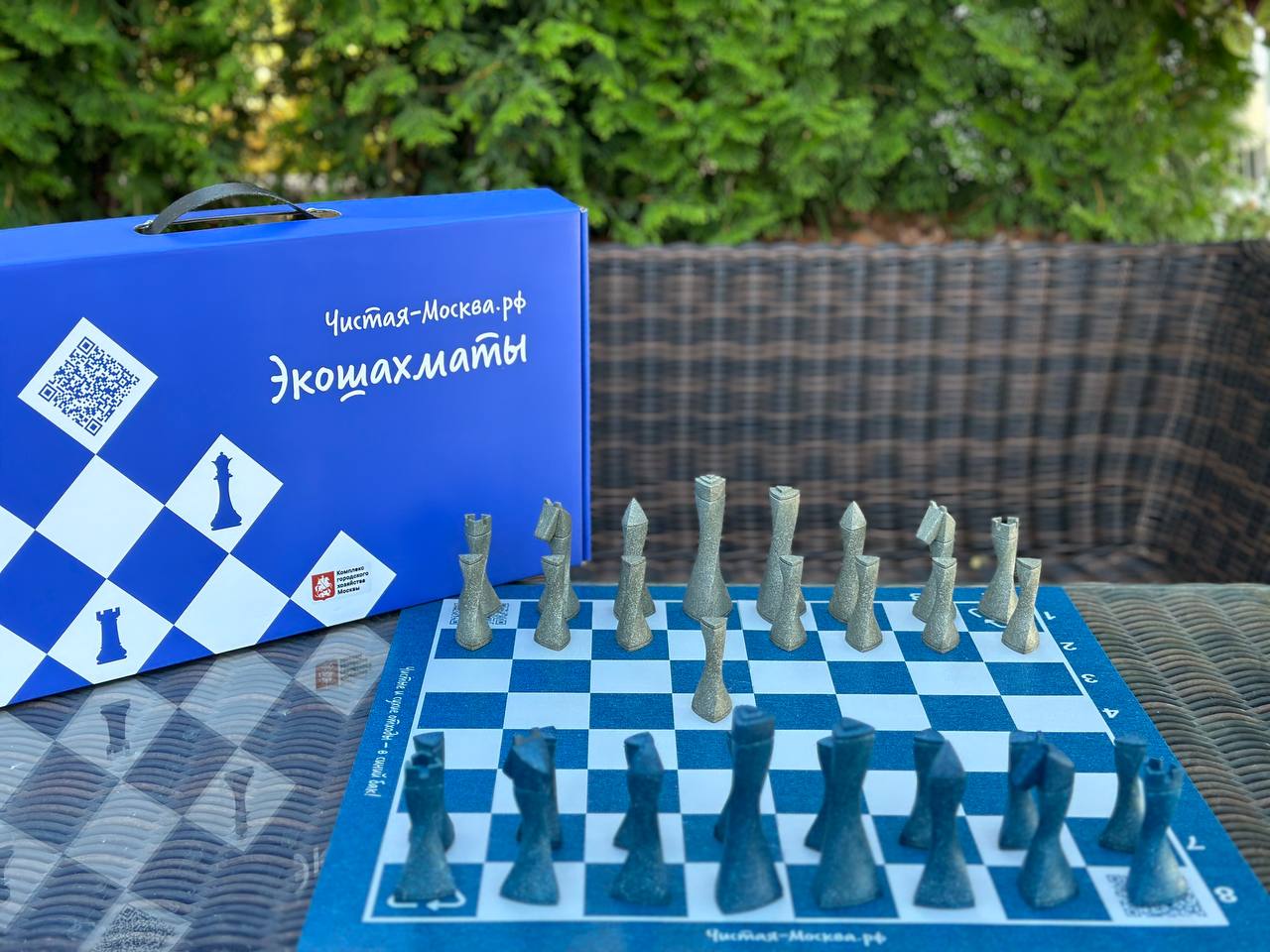 Шахматы Эволюция